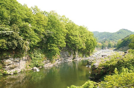 【土日祝発】さいたま新都心発 三峯神社・宝登山神社・秩父神社 秩父三社めぐり 日帰り1